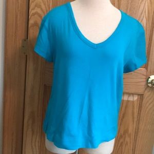 FieldGear v neck short sleeve aqua tee